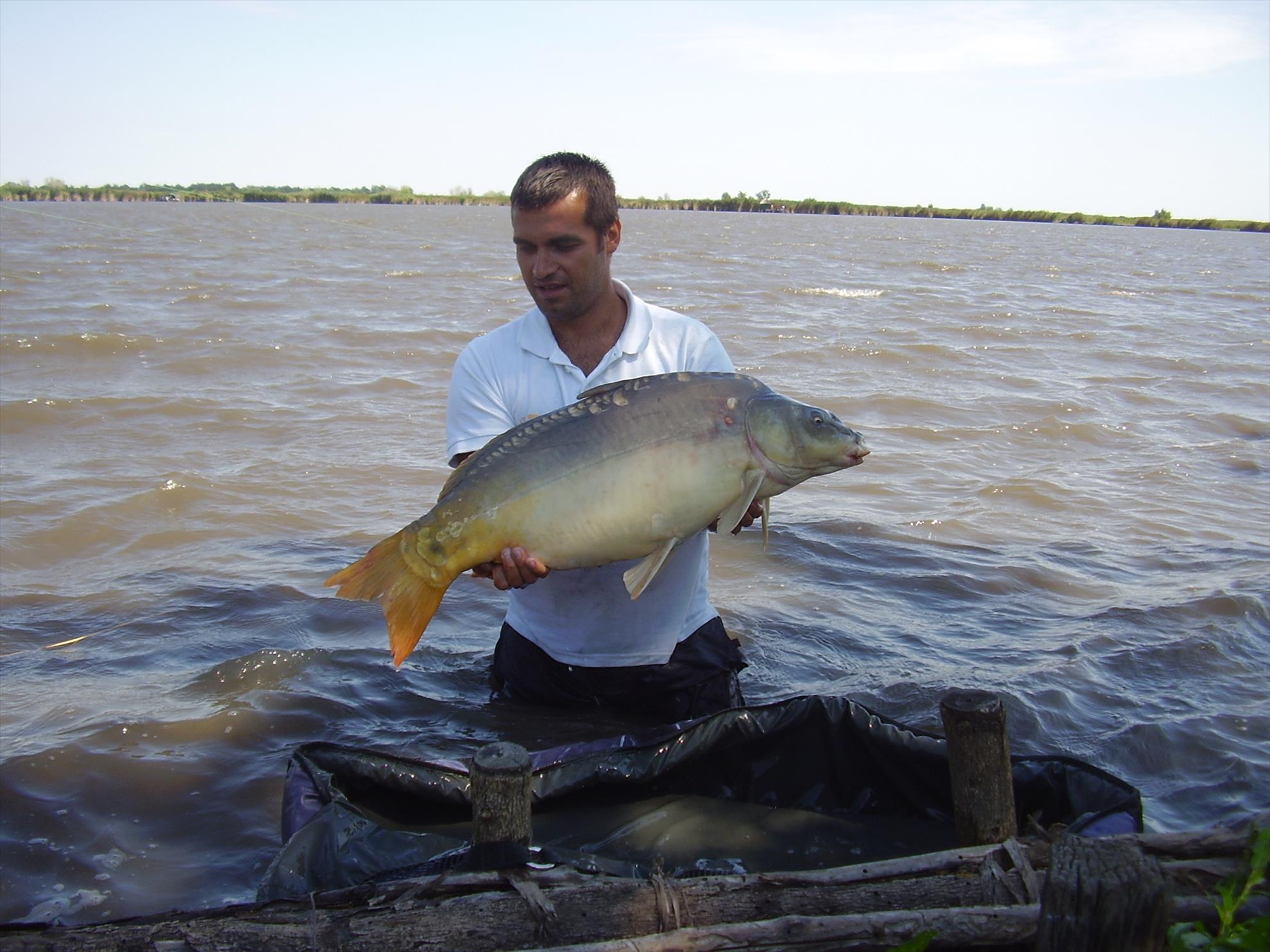 Alejandro Carp Team - Ohat Ungaria 2013 - p5060004.JPG